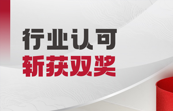 AI能力贏得行業(yè)認(rèn)可，長亮科技獲得“特別貢獻(xiàn)單位”等榮譽